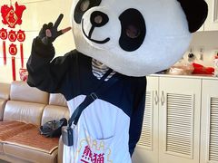 -熊猫不走蛋糕（同城送）(长沙店)