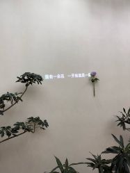 -AIST爱思特医疗美容医院