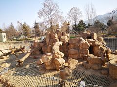 -西安秦岭野生动物园