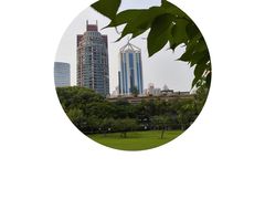 -新虹桥中心花园