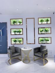 -MIVI半永久纹眉纹绣