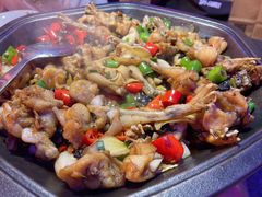 -蛙来哒(诚丰广场店)