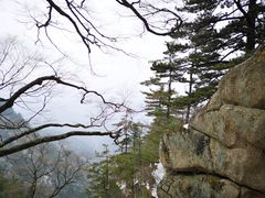 -洛阳白云山景区