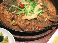 -老板恋上鱼(荣盛广场店)