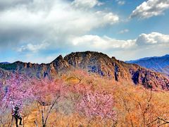 -大岭沟猕猴桃谷风景区
