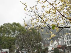 -容州古城