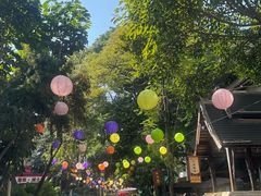-婉泰·特色小吃·舂鸡脚(告庄二店)