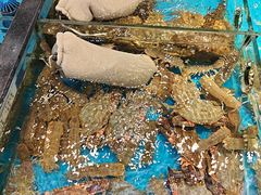 -隐厨·海鲜餐厅(恒通路店)