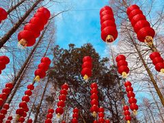 -东平国家森林公园