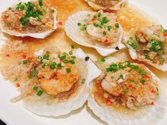 -新南华大酒店(广中店)