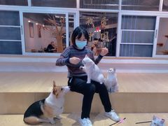 -Heymao猫咖.咖啡厅(东门店)