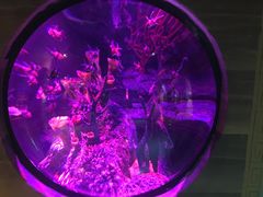 -沈阳海洋探索中心