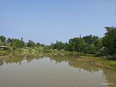 -桤木河湿地公园