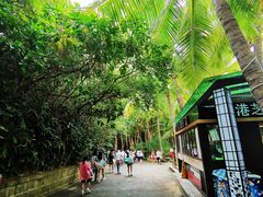 -海南分界洲岛旅游区