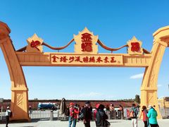 -金塔沙漠胡杨林景区