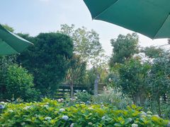 -东湖177艺术餐厅 · 东坡院子