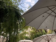 -Fern Forest Cafe
