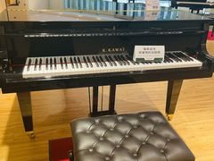 -柏斯音乐艺术中心·钢琴·吉他(上音店)