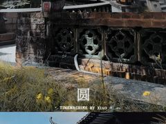 -碧江金楼