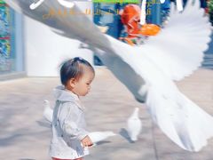 -中粮·祥云小镇