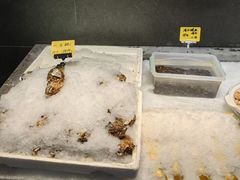 -恒记饭店·海鲜明档(淹城店)