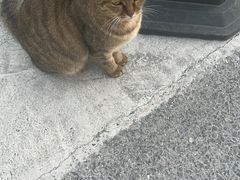 -添福来墨鱼饺子 · 海鲜东北菜(大连星海·黄浦路店)