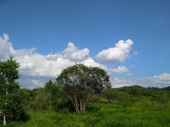 -塞罕坝国家级自然保护区