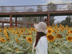 -永康森林公园