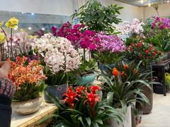 -双季花艺园艺市场(浦东店)