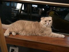 -咖法森林·咖啡  酒吧(天河店)