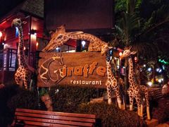 -清迈夜间动物园