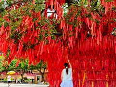 -广州莲花山旅游区