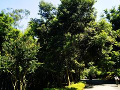 -田心森林公园