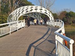 -同里国家湿地公园