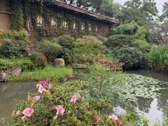 -中国茶叶博物馆(双峰馆区)