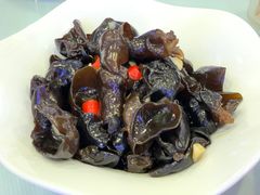 -饭怕鱼(阳光100店)