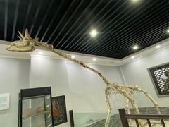 -游龙石文化科普馆