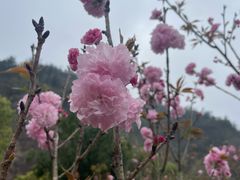 -温州永嘉书院