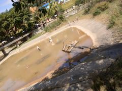 -泉州海丝野生动物世界