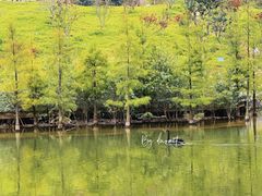 -广州市帽峰山景区