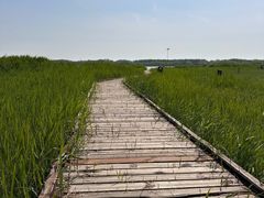 -西青郊野公园