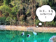 -杭州野生动物世界