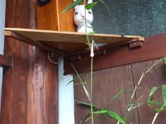 -铃木食堂(帽儿胡同店)