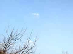 -北京鹫峰国家森林公园