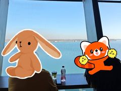 -抱抱地球咖啡馆(国家海洋博物馆店)