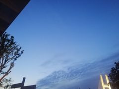 -紫· 割烹  Kappo Murasaki