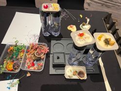 -圣贝拉母婴护理中心(深圳莱佛士店)