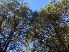 -北京西山国家森林公园