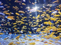 -成都浩海立方海洋公园