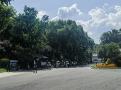 -东湖落雁景区